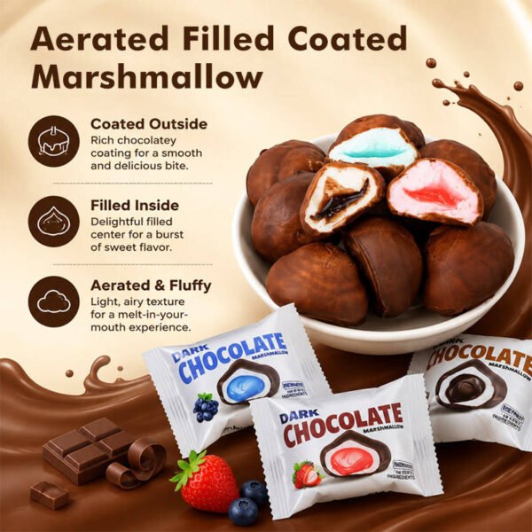 Chocolate-Coated Fruit Marshmallows