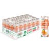 Sparkling Coconut Water Can 320ml